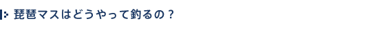 title_text_02.gif