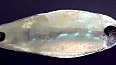 spoon_color001.jpg