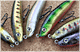 LURE